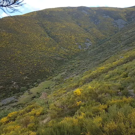 度假居 El Castano *