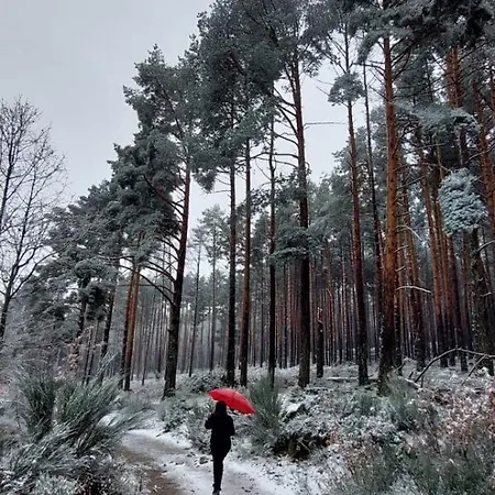 El Castano 度假居