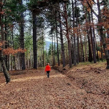 El Castano 度假居 *