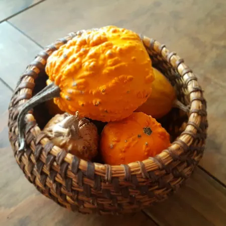 度假居 El Castano Navalguijo